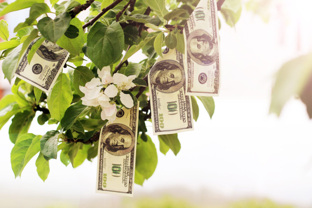 Why Investing in Outdoor Living Is Worth Every Penny